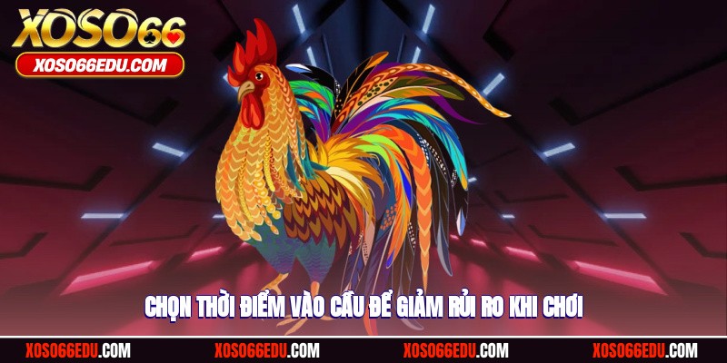 Chọn thời điểm vào cầu để giảm rủi ro khi chơi
