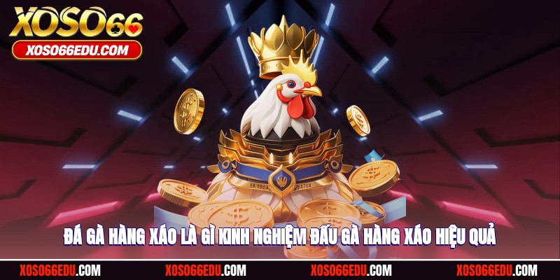 Đá Gà Hàng Xáo Là Gì? Kinh Nghiệm Đấu Gà Hàng Xáo Hiệu Quả